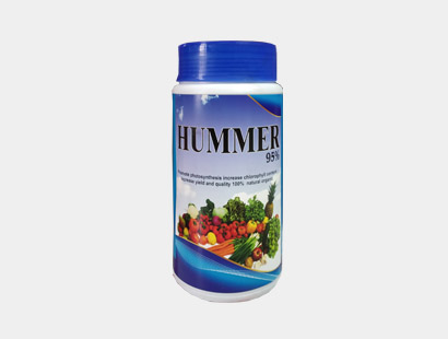 hummer 95